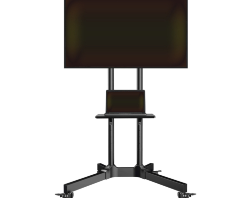 adjustable-stand-and-tv-screen